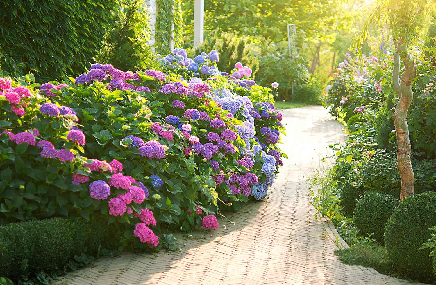 Flower Gardens That Thrive All Season