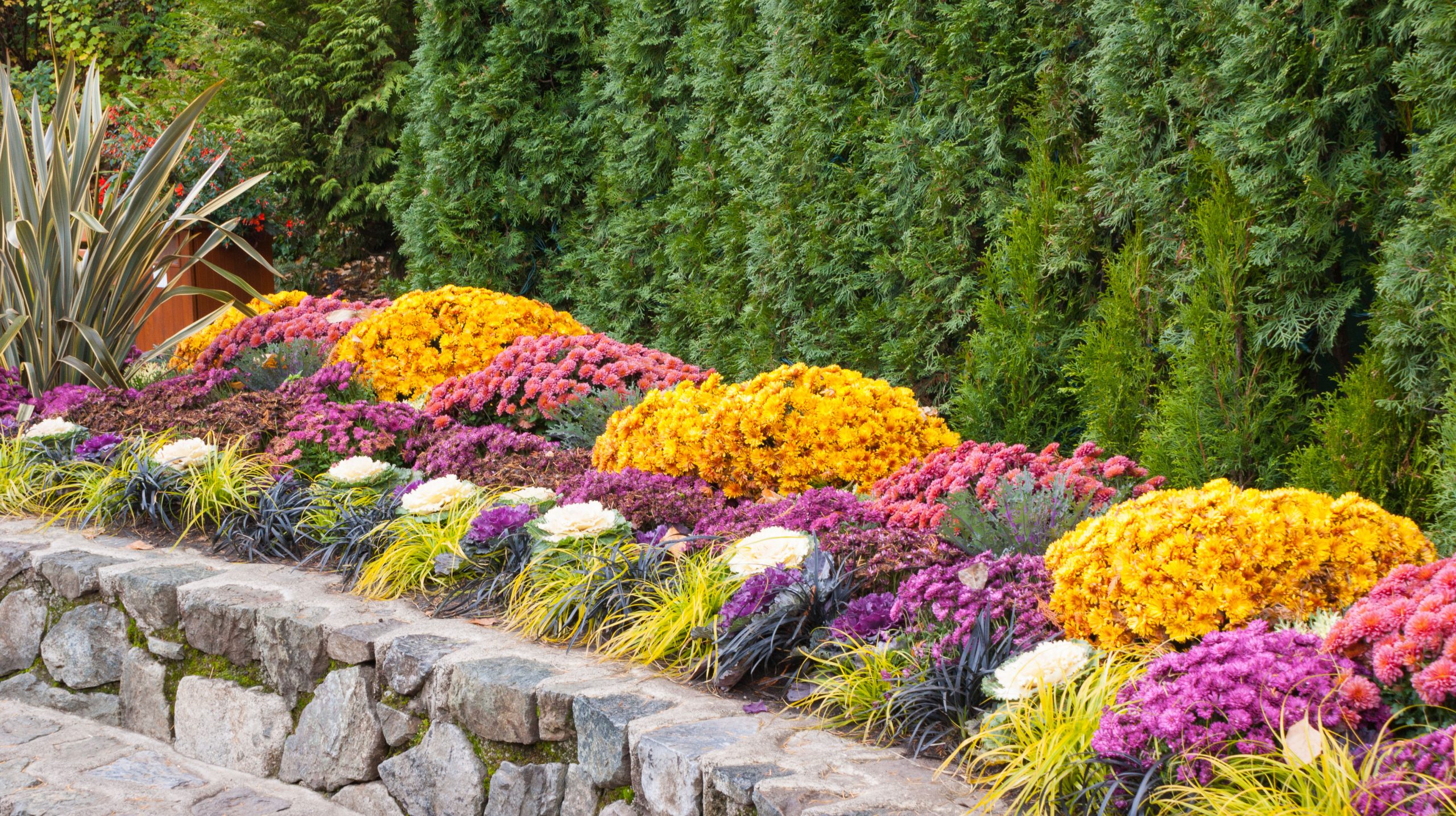 Fall Landscaping Ideas