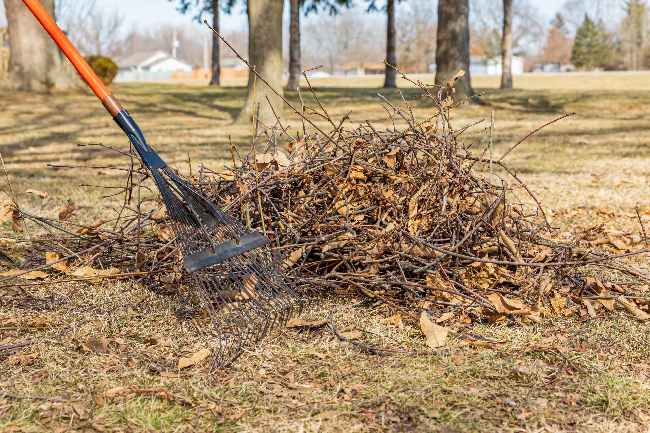How to Refresh Your Yard for Spring Without a Full Renovation - C.O ...