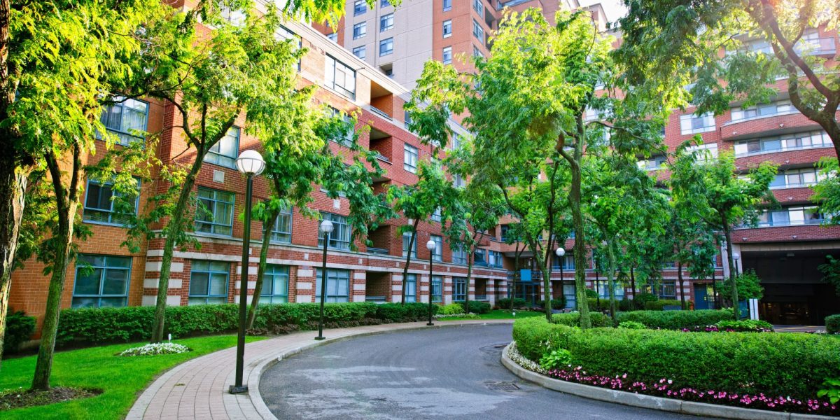 C.O. Landscaping Chicago 21
