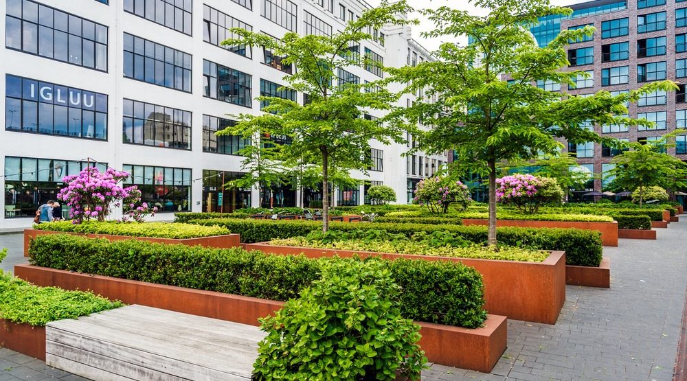 Commercial Landscaping