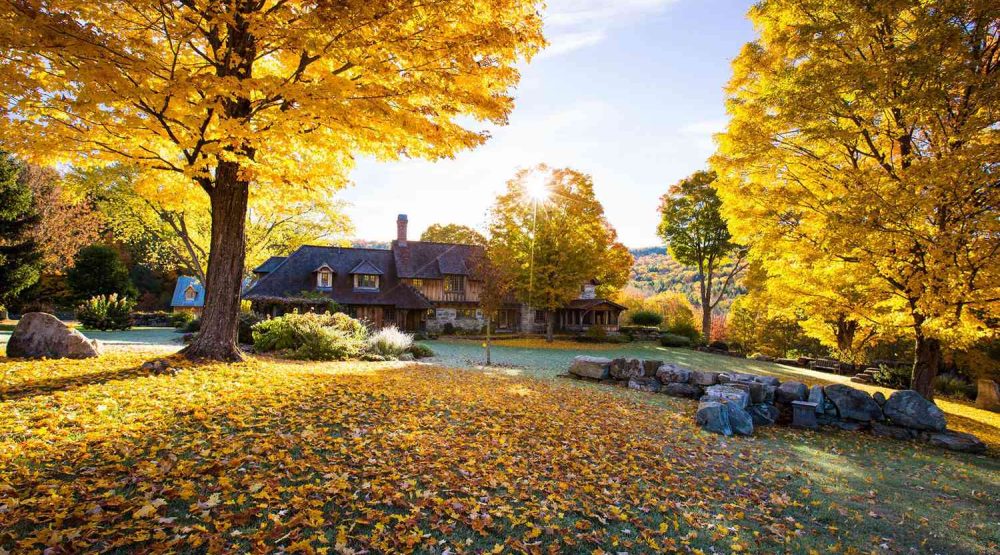 Essential Fall Landscaping Tips for Chicago Homeowners