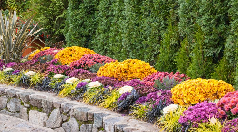 Fall Landscaping Ideas