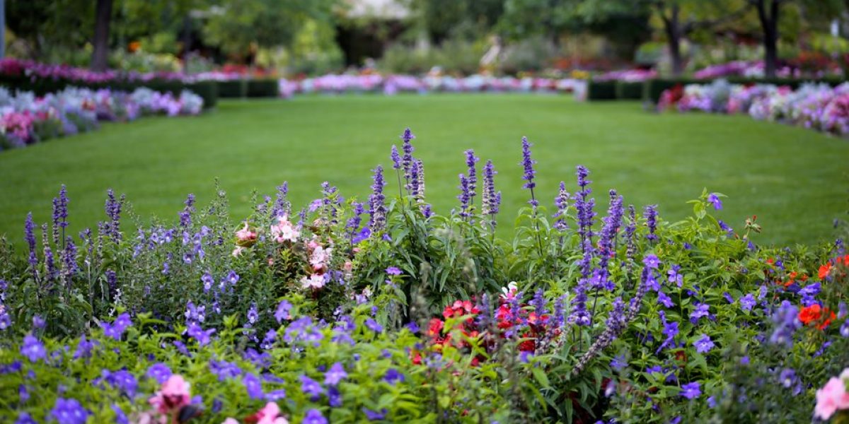 Flower Gardens