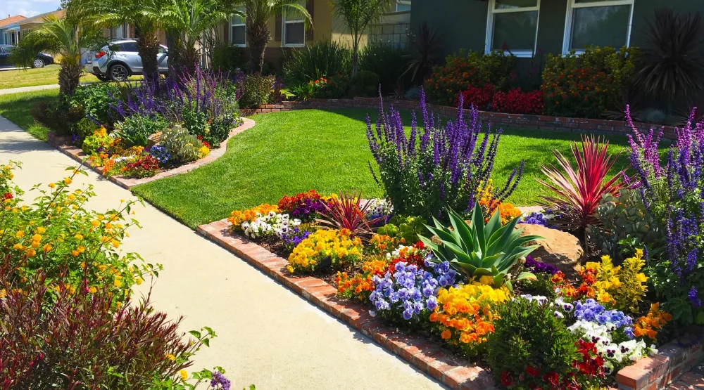 Front Yard Landscaping Ideas to Boost Curb Appeal