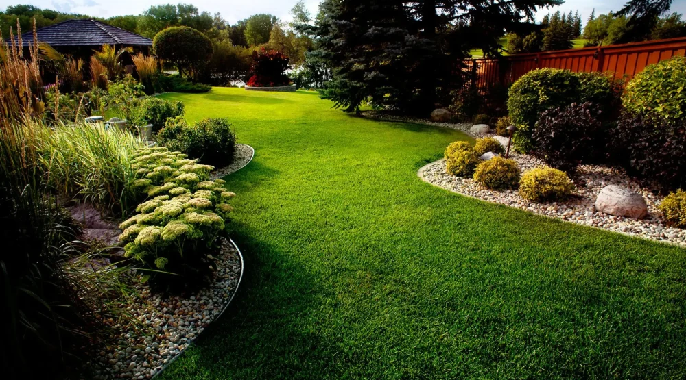 Landscaping Mistakes to Avoid