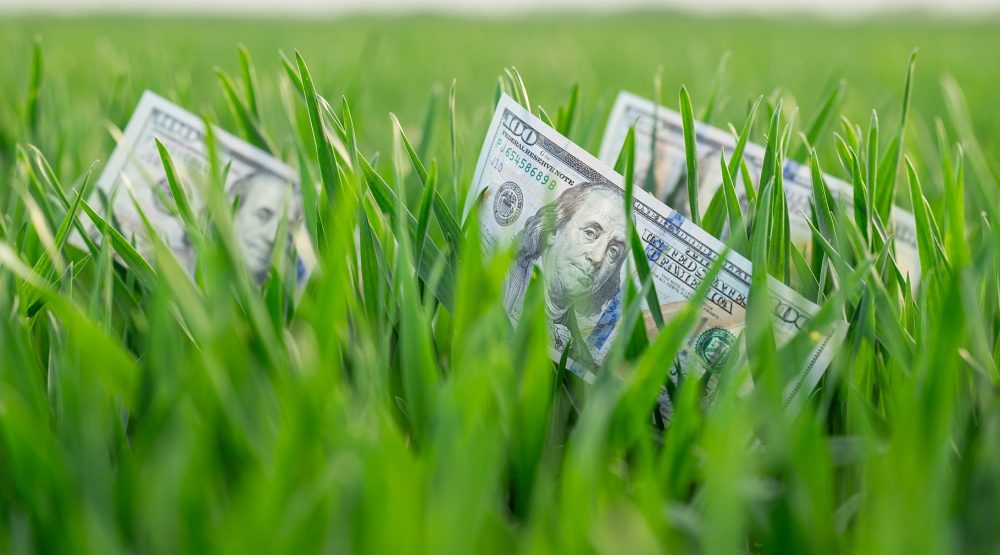 Landscaping chicago suburbs