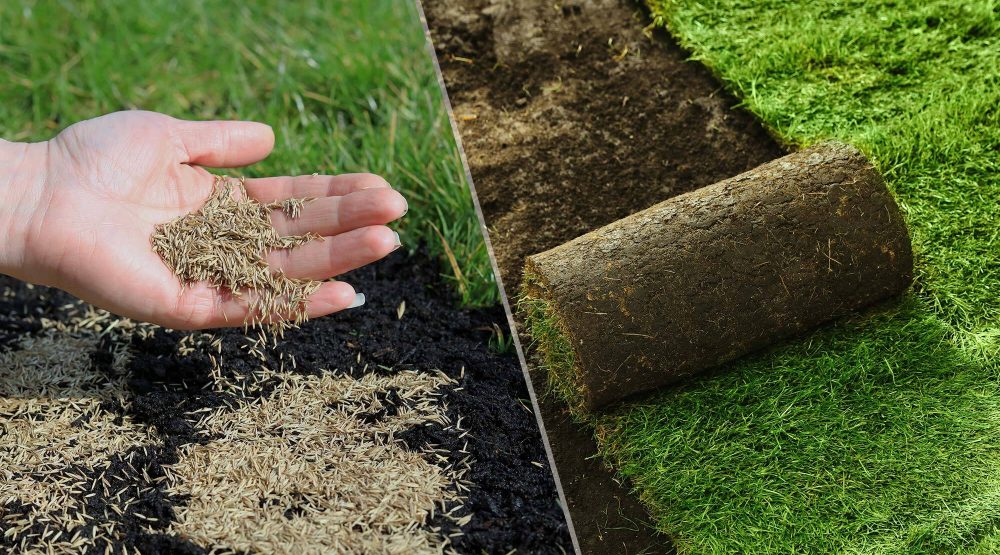 Landscaping companies Chicago 2