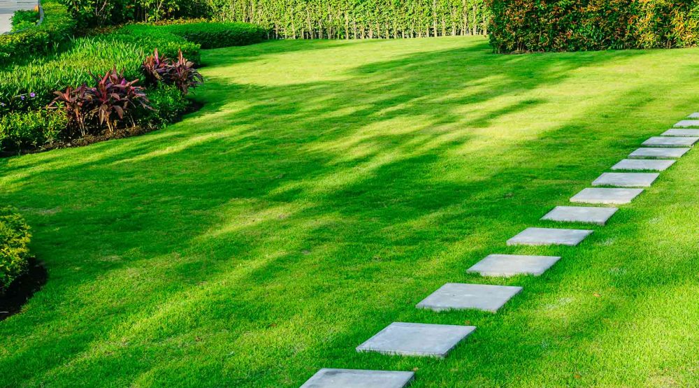 Lawn Green