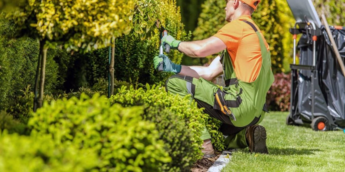 Seasonal Landscaping Maintenance